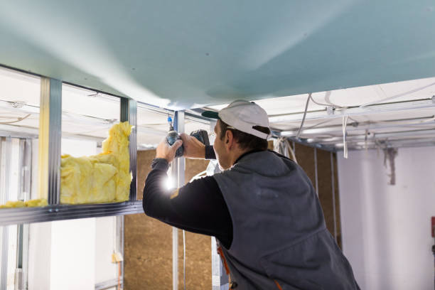 Best Insulation Installation Services in Lynchburg, MS
