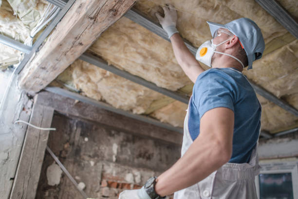 Best Residential Insulation in Lynchburg, MS