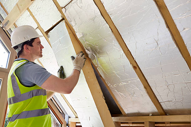 Best Commercial Insulation in Lynchburg, MS