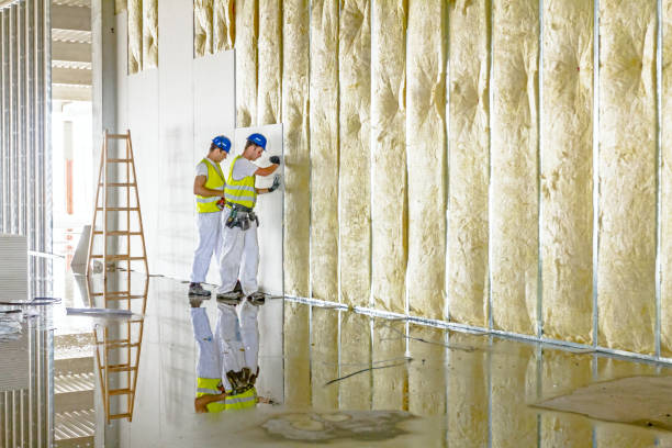 Best Types of Insulation in Lynchburg, MS